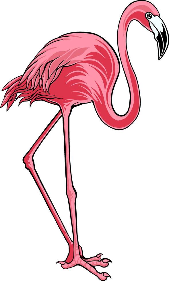 Flamingo Bird Illustrator Design For Elements, editable colors vector
