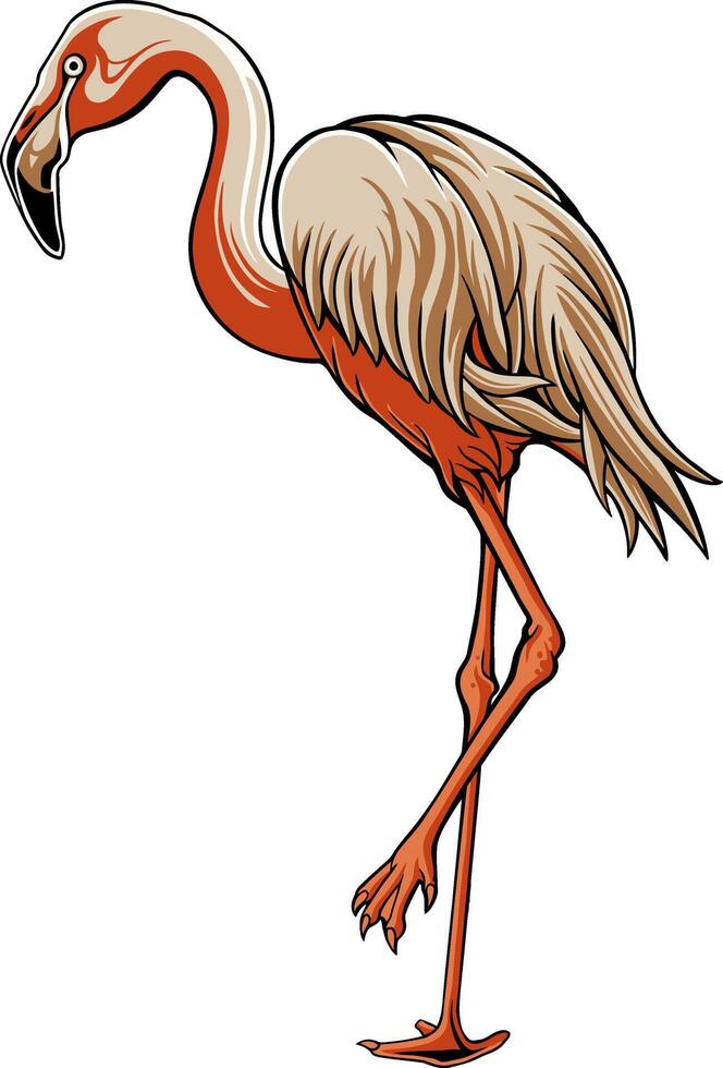 Flamingo Bird Illustrator Design For Elements, editable colors vector