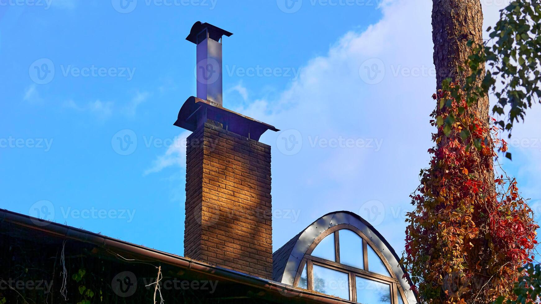 Brick chimney on the roof, attic window, pine tree covered with ivy photo