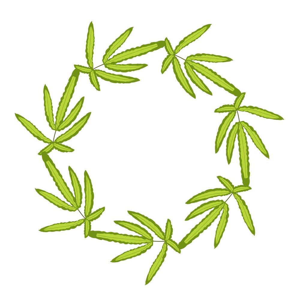 wreath of meadow leaves. Botanical frame. Template for a postcard. Green circle of leaves. Concept of spring and summer holiday invitation. vector