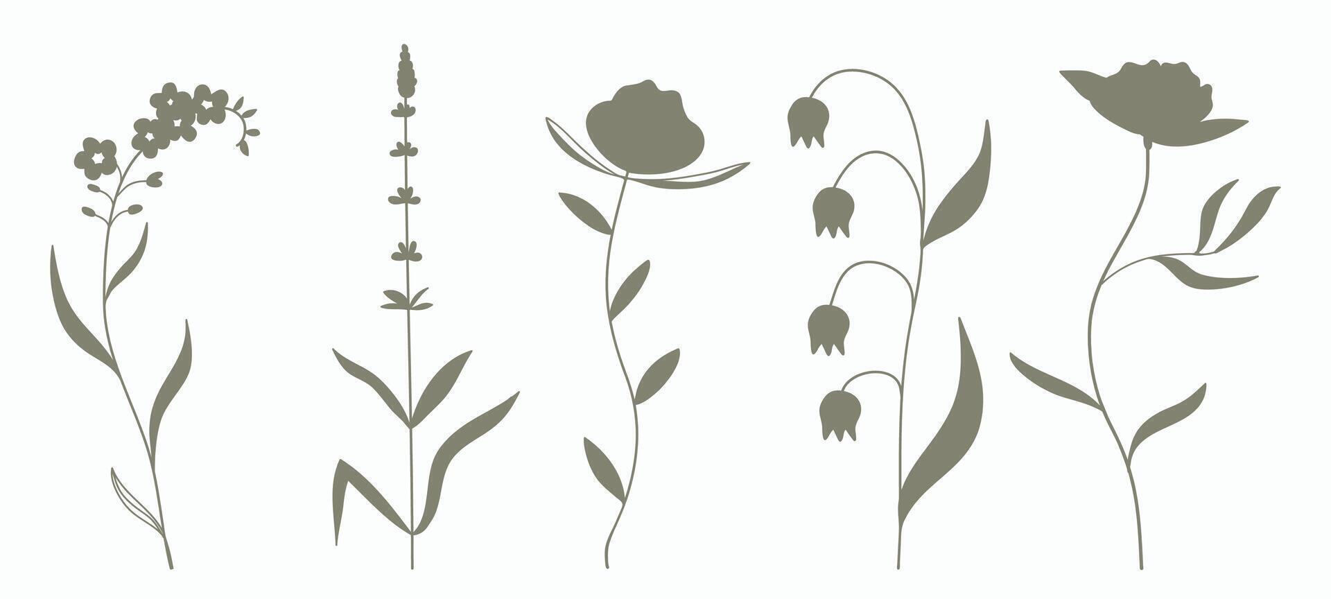 Silhouette botanical graphic drawing, floral elements . vector