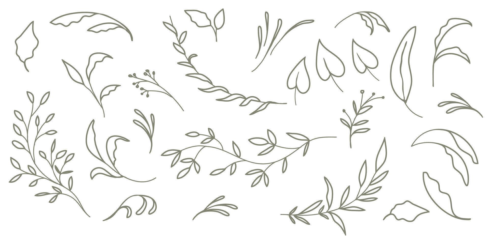 Set of branches and leaves. Hand drawn botanical elements. vector
