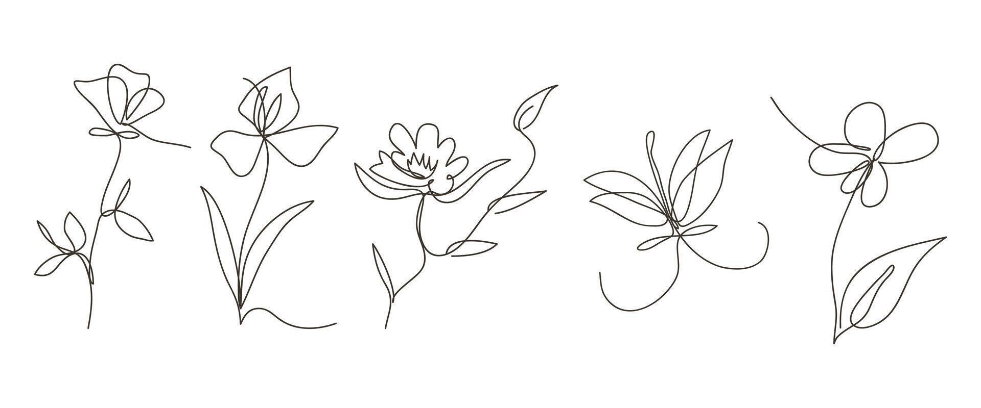 Single line art flower illustration, outline set of blooming flowers vector