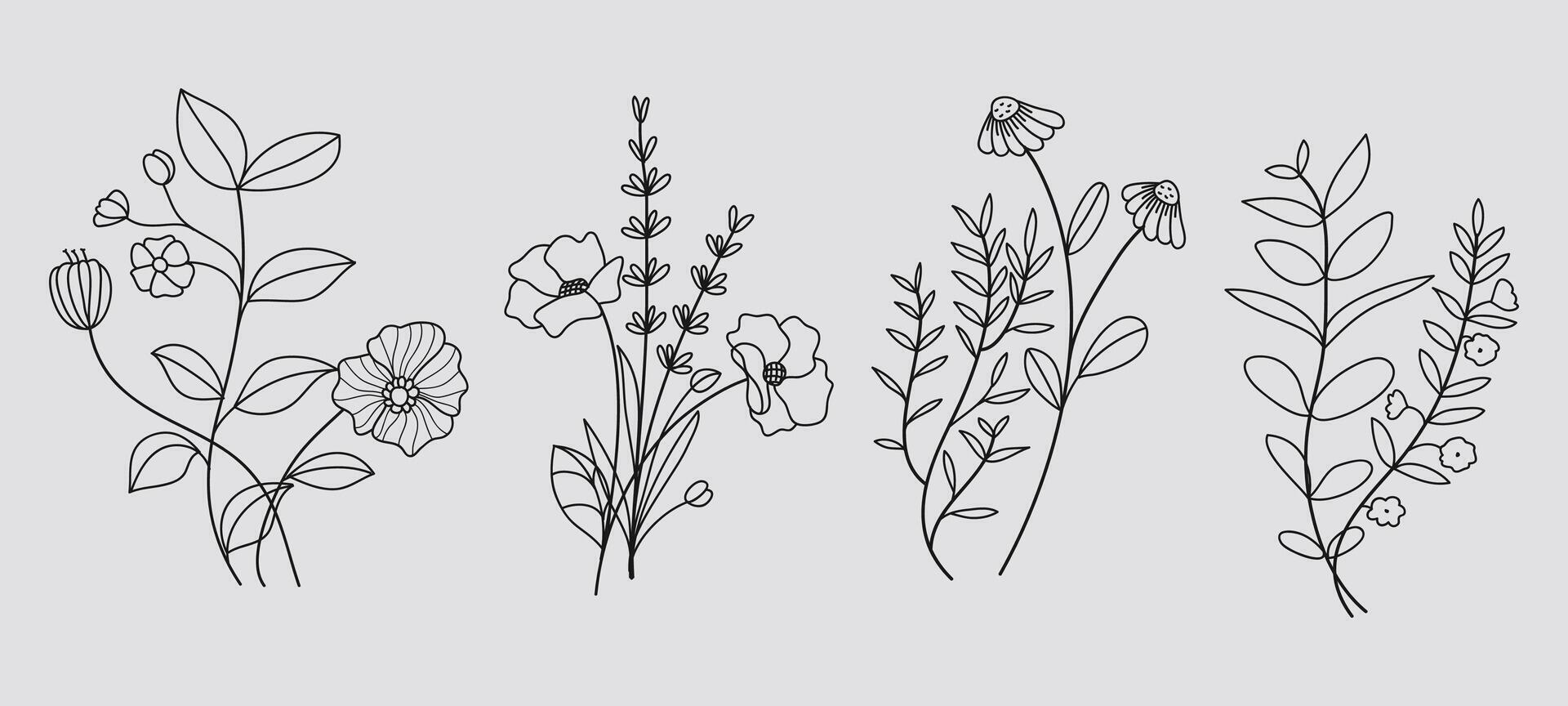 Hand drawn floral minimal elements in line art style. Greenery for decoration, wild and garden plants, branches, leaves. illustration vector