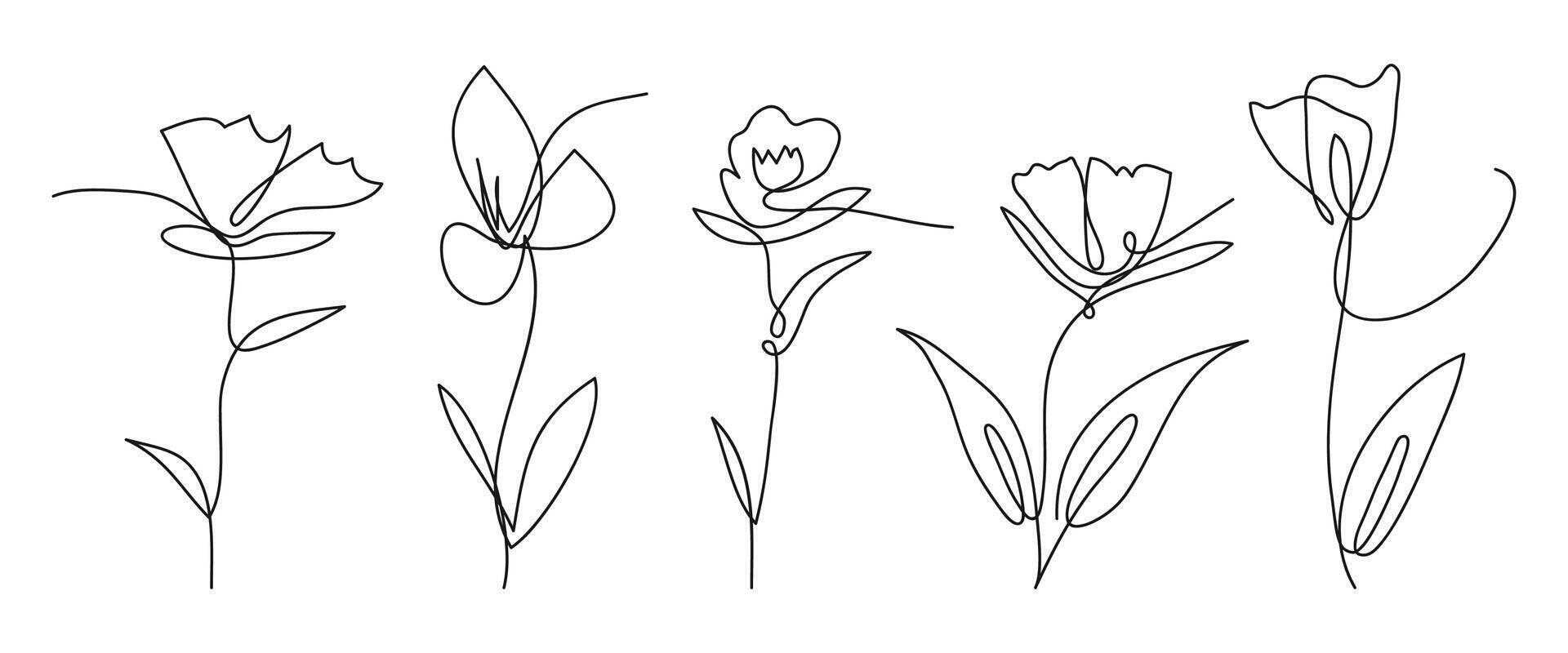 Single line art flower illustration collection. vector
