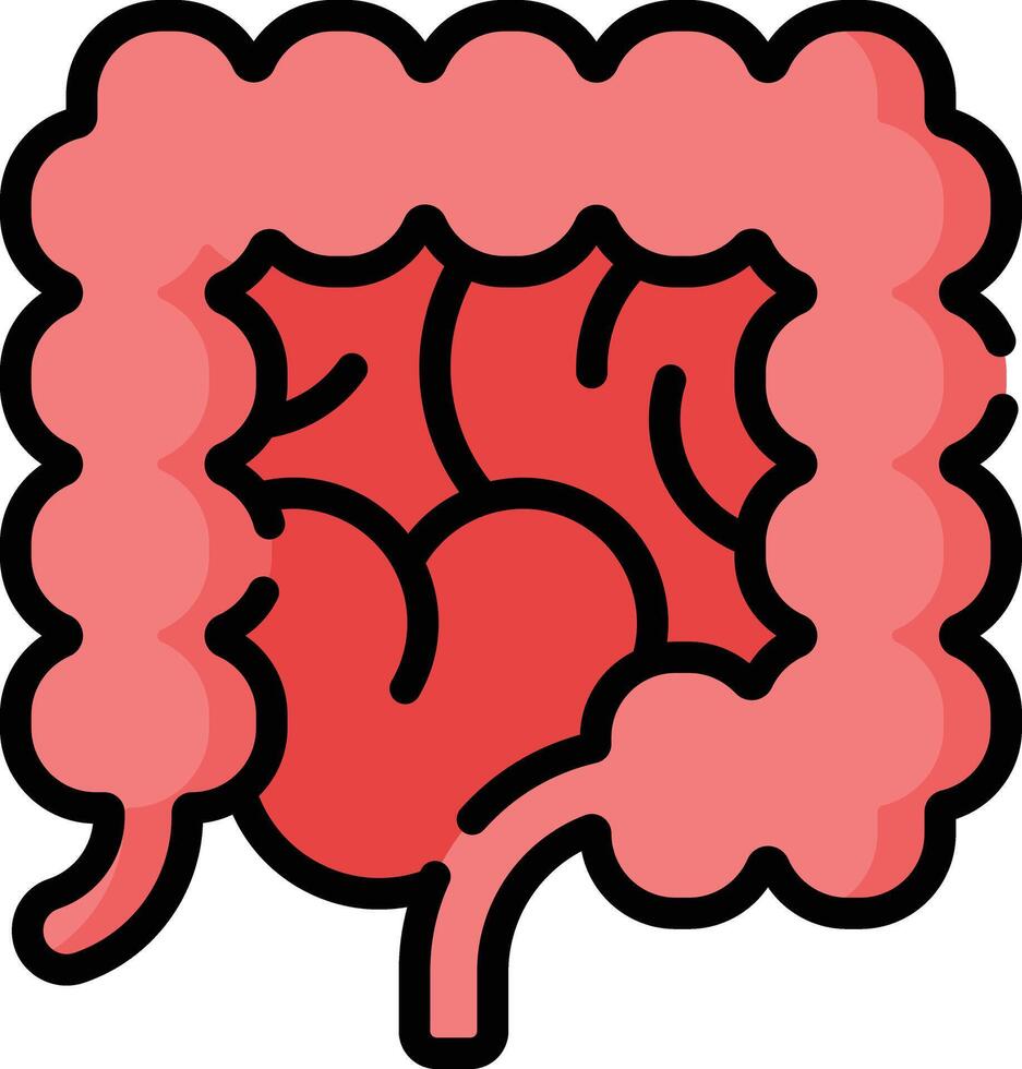 large intestine illustration design vector