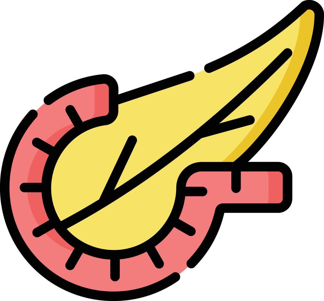 pancreas illustration design vector