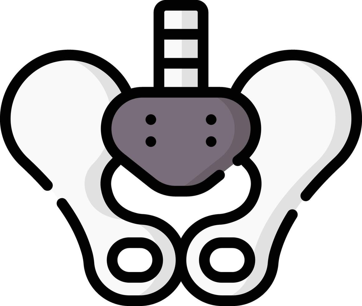 pelvis illustration design vector