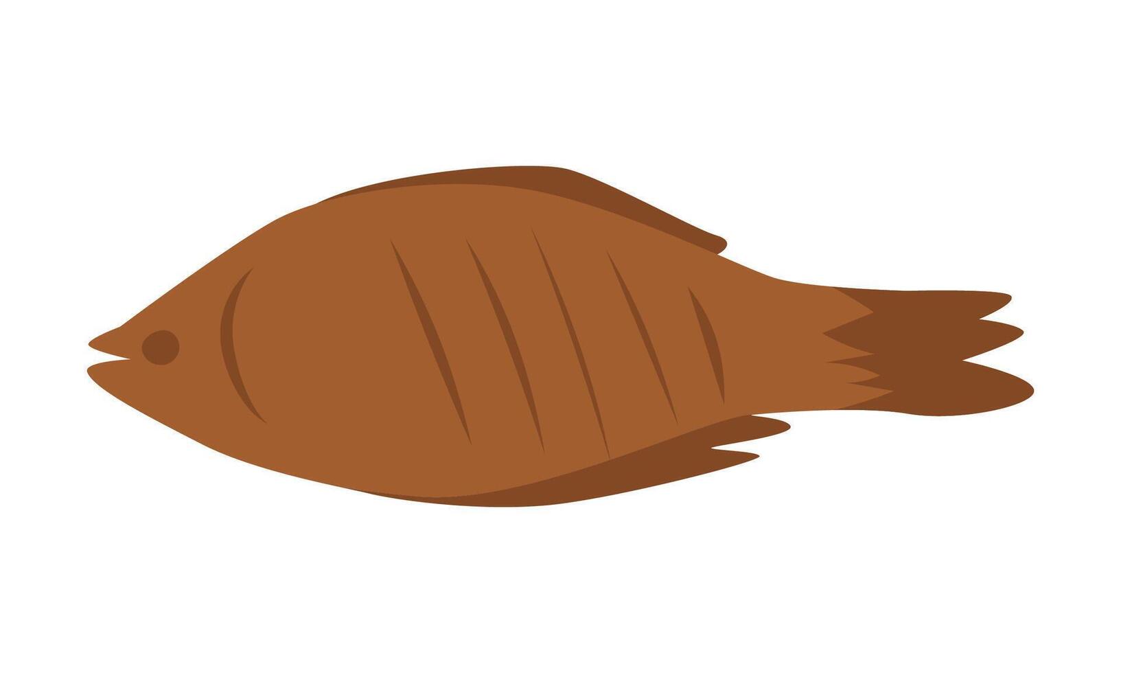 Colorful fish illustration on a white background vector