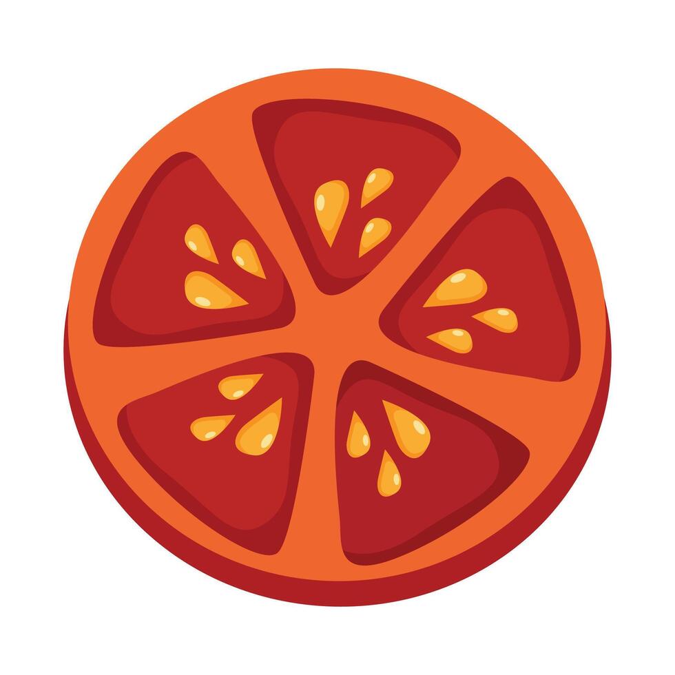 Fresh red tomato sliced illustration on white background vector