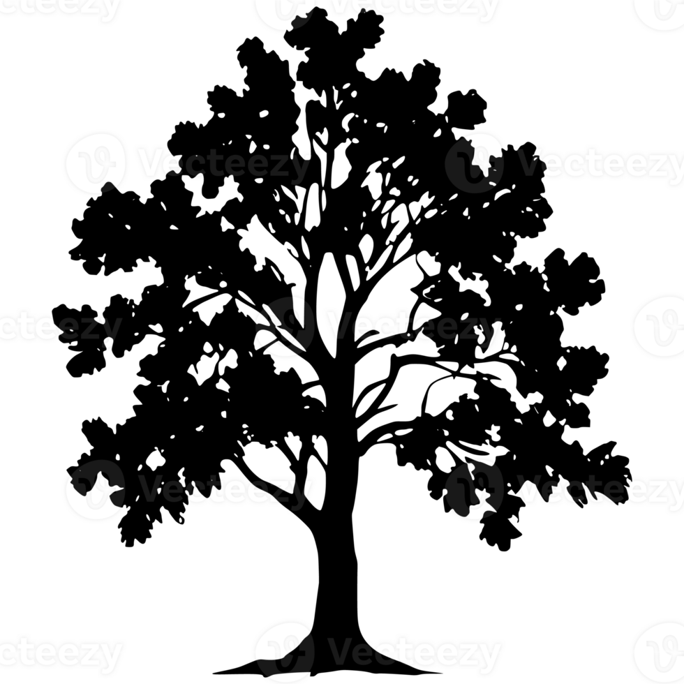 Tree silhouette set on a transparent background png