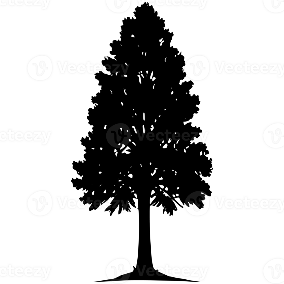 Tree silhouette set on a transparent background png