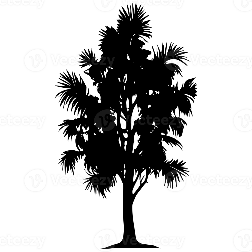 Tree silhouette set on a transparent background png