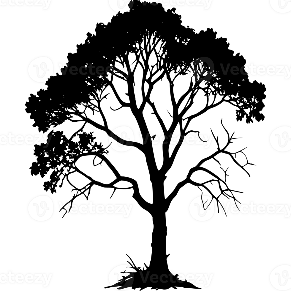 Tree silhouette set on a transparent background png