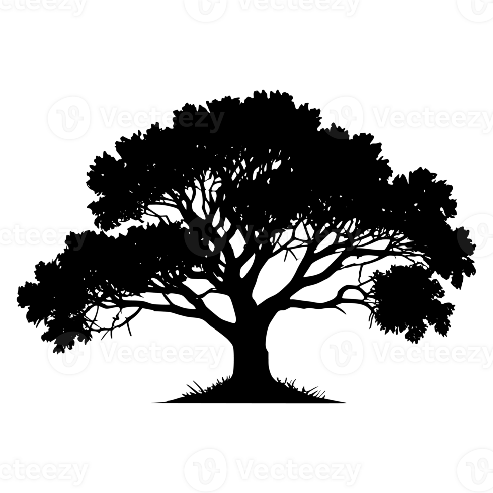 Tree silhouette set on a transparent background png