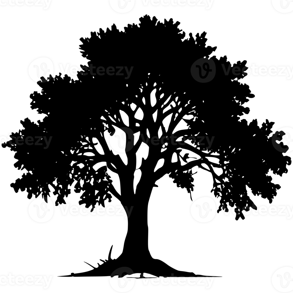 Tree silhouette set on a transparent background png