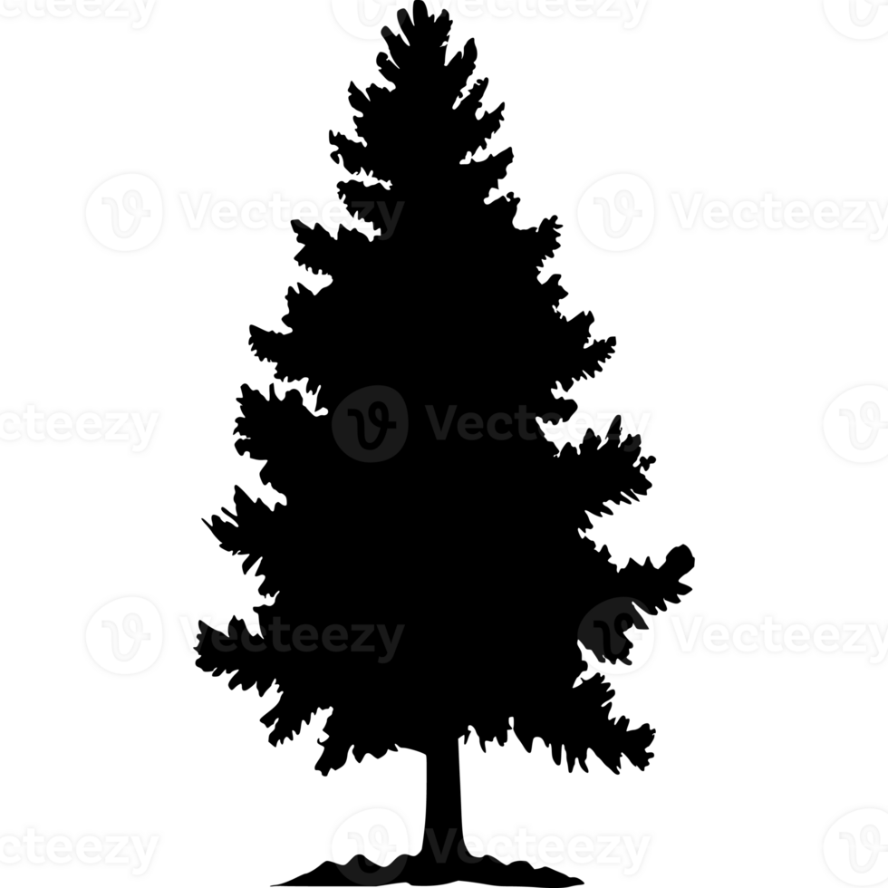 Tree silhouette set on a transparent background png