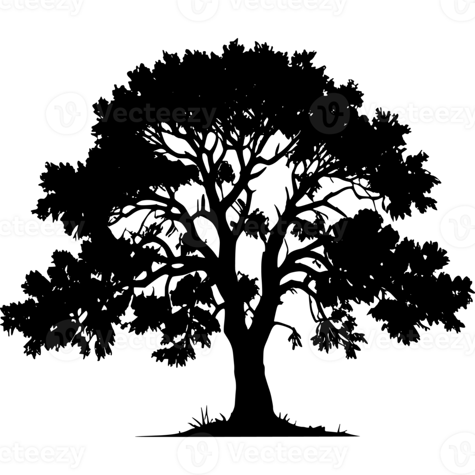 Tree silhouette set on a transparent background png