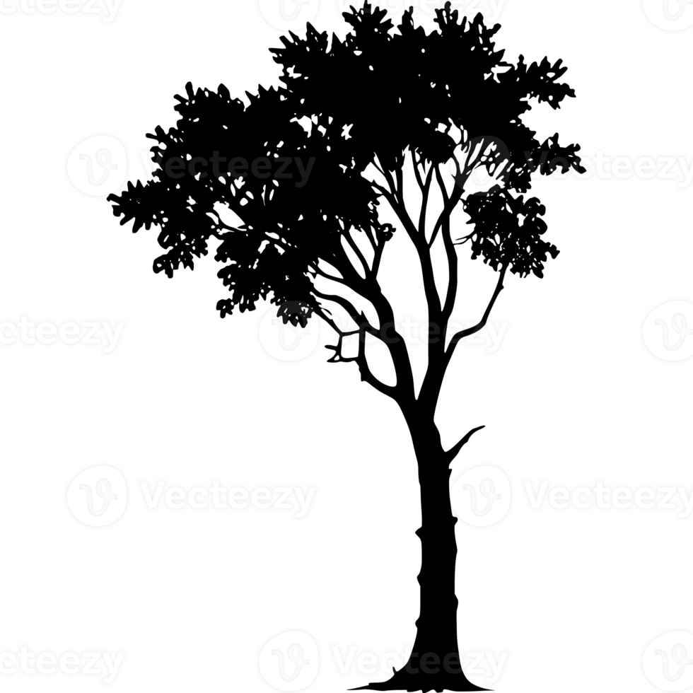 Tree silhouette set on a transparent background png