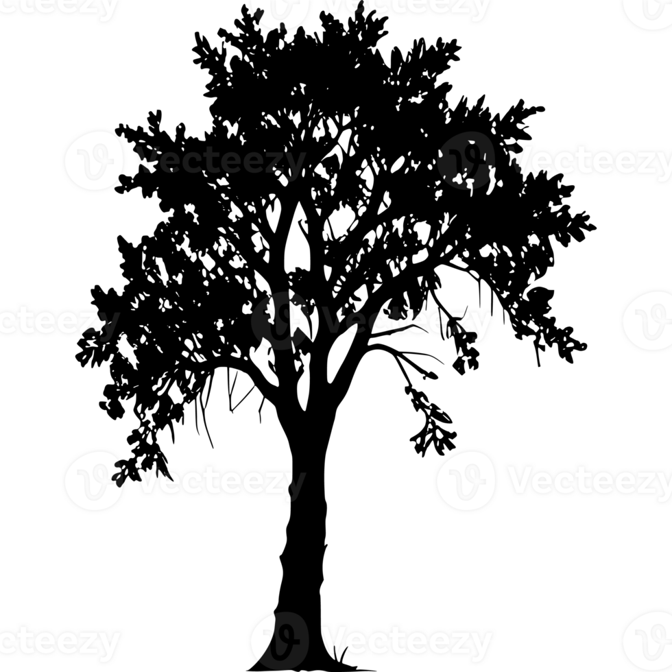 Tree silhouette set on a transparent background png