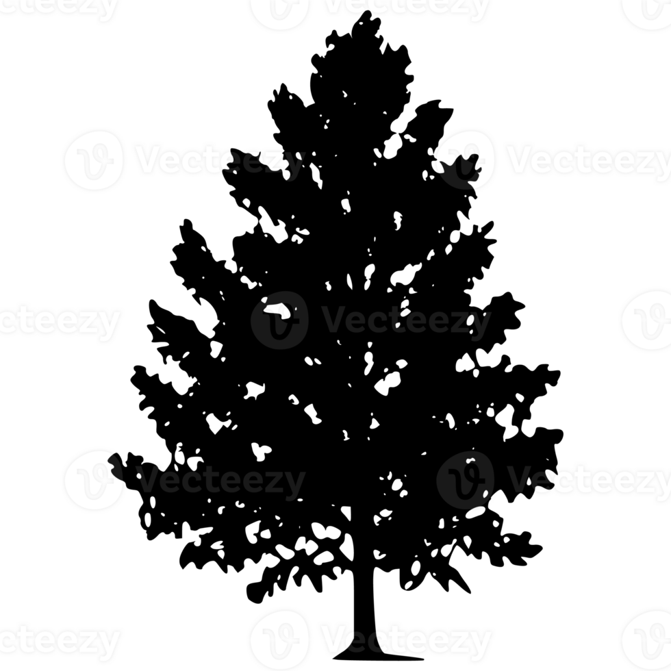 Tree silhouette set on a transparent background png