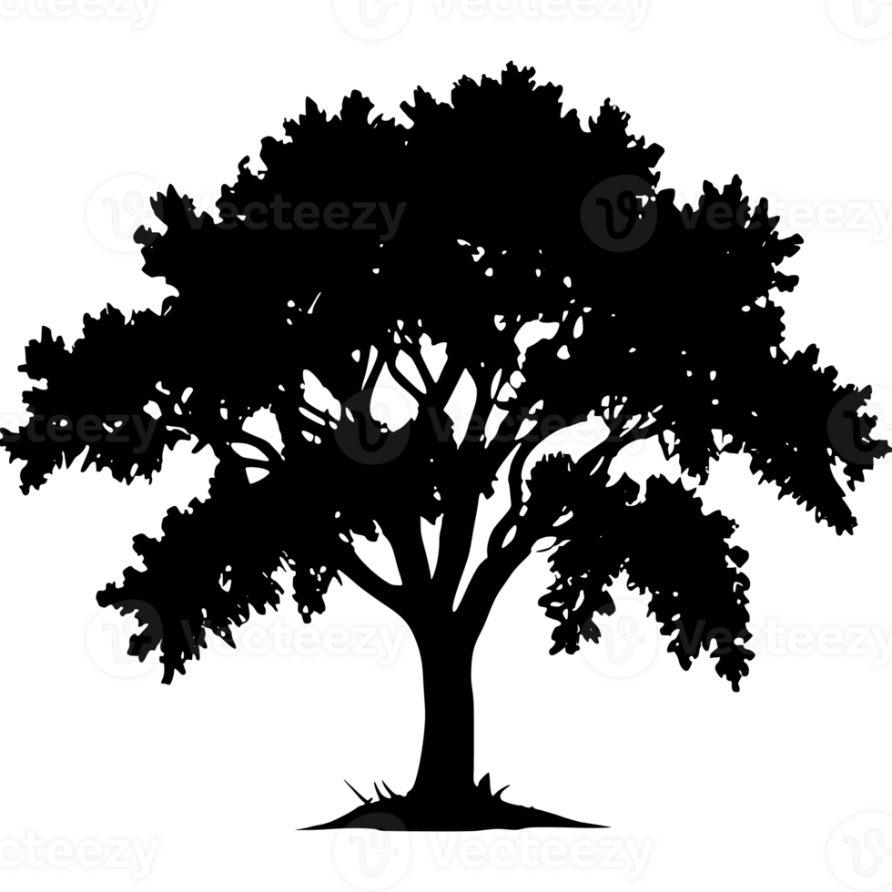 Tree silhouette set on a transparent background png