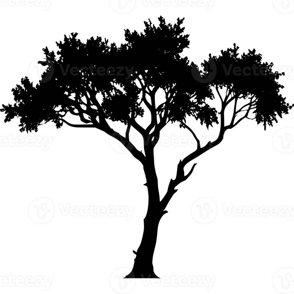 Tree silhouette set on a transparent background png