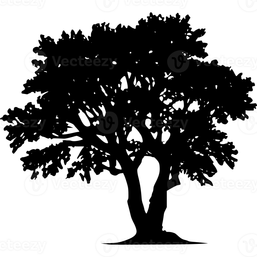 Tree silhouette set on a transparent background png