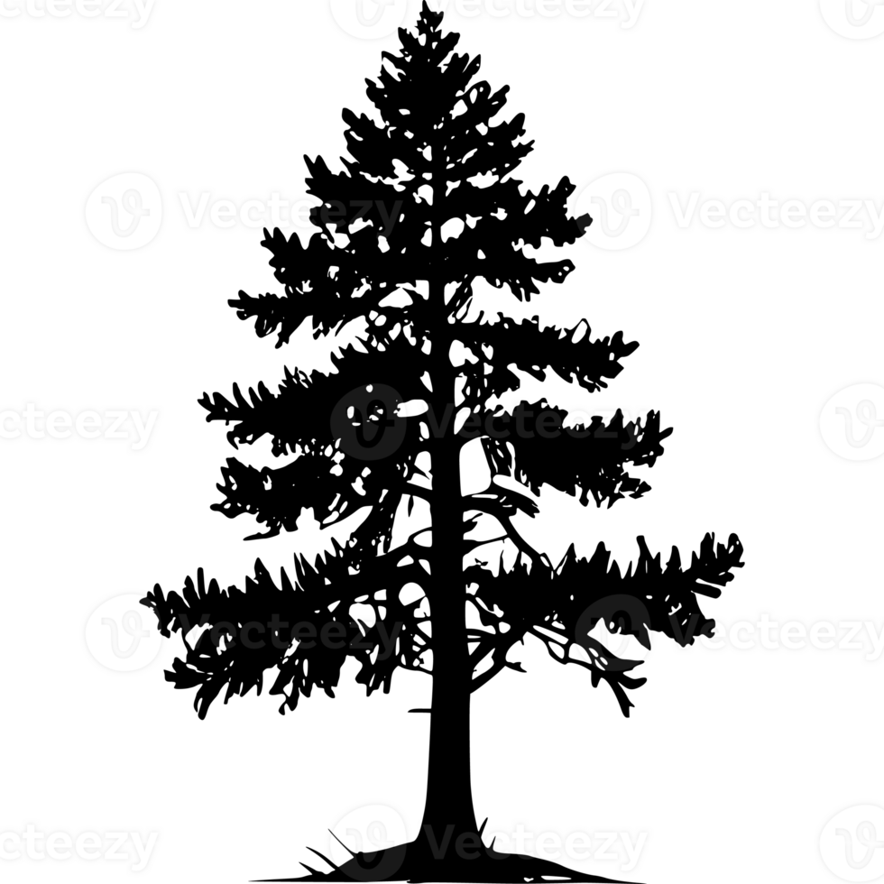 Tree silhouette set on a transparent background png