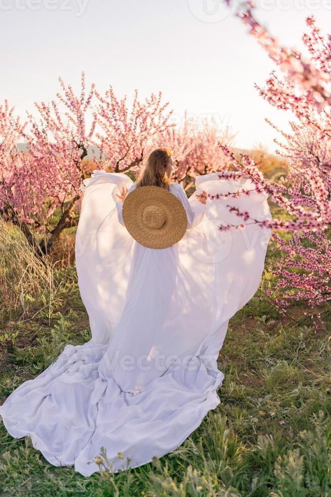 Woman blooming peach orchard. Against the backdrop of a picturesque peach orchard, a woman in a long white dress and hat enjoys a peaceful walk in the park, surrounded by the beauty of nature. photo