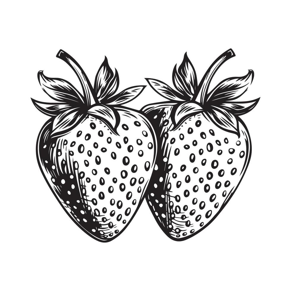 two strawberry fruit in continious line art drawing style . illustration of a strawberry vector