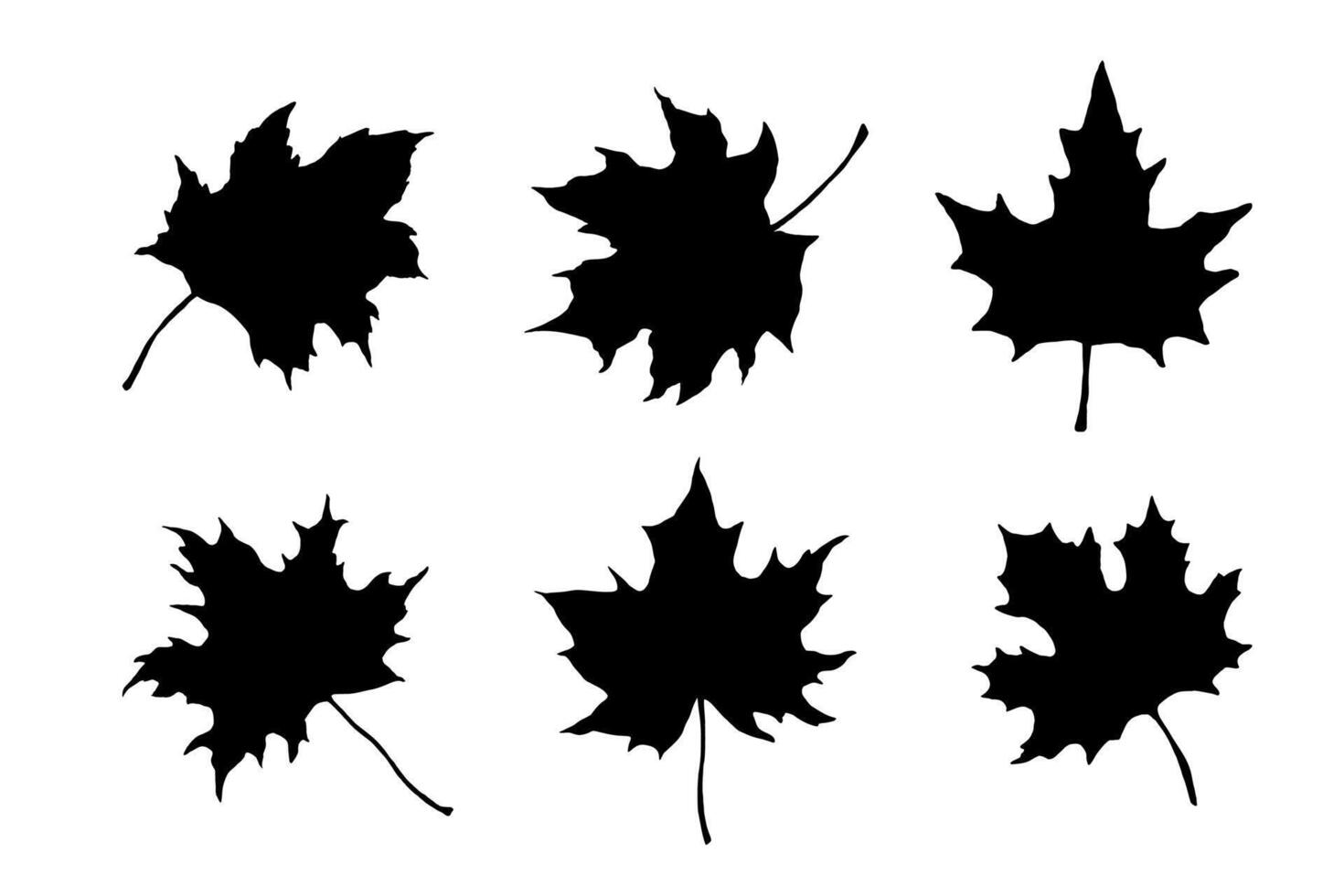 Maple leaf silhouette. Hand drawn fall illustrations set isolated. vector