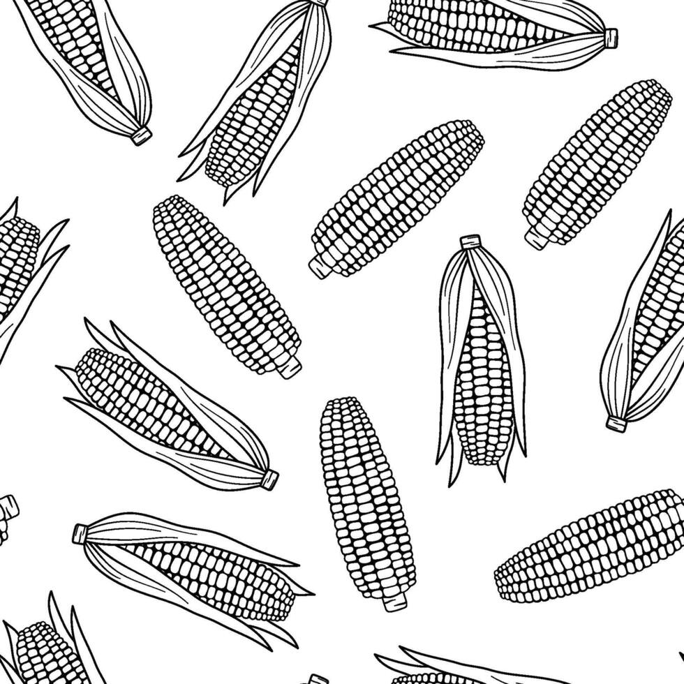 Seamless pattern with corn. Outline illustrations on white. Hand drawn line food vector
