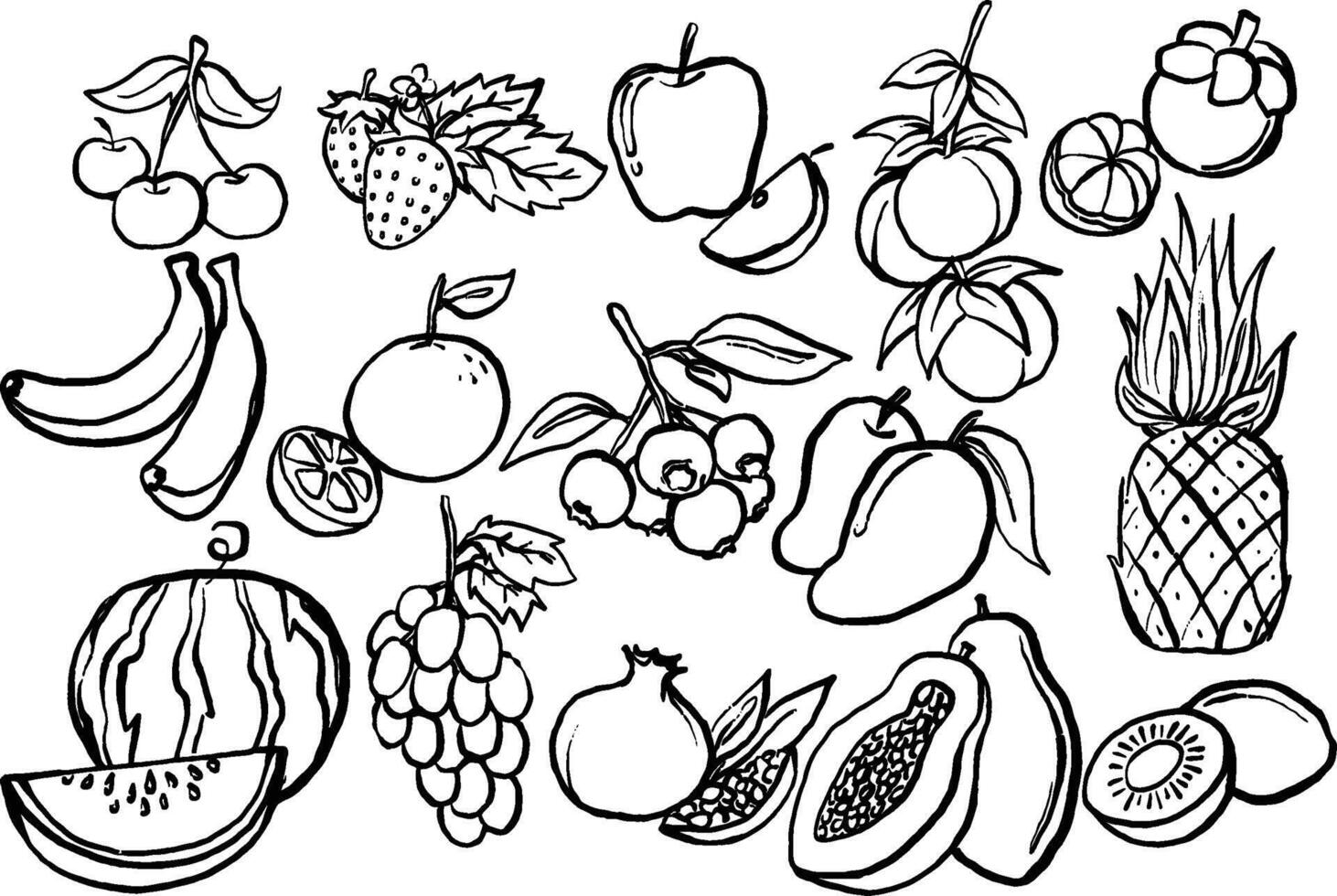 Hand-Drawn Style of Various Fruits in Black and White Line Art vector