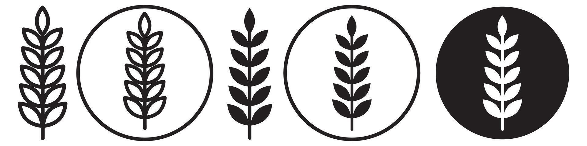 Wheat Icon set collection for web vector