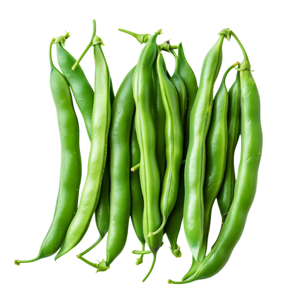 Green Beans 101 From Planting to Plate png