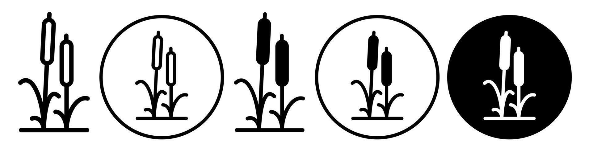 Cattail Icon set collection for web vector