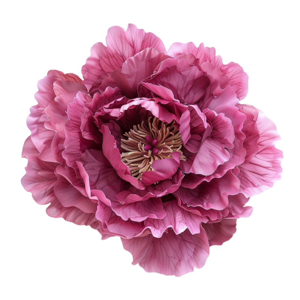 Blooming Beauties Stunning Flower Arrangements png