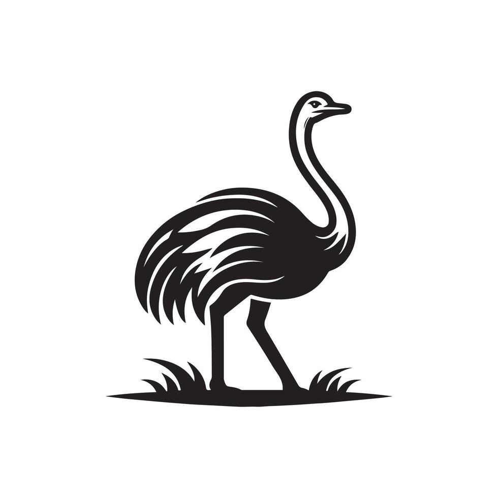 Ostrich bird , logo, icon, silhouette, design template black and white vector