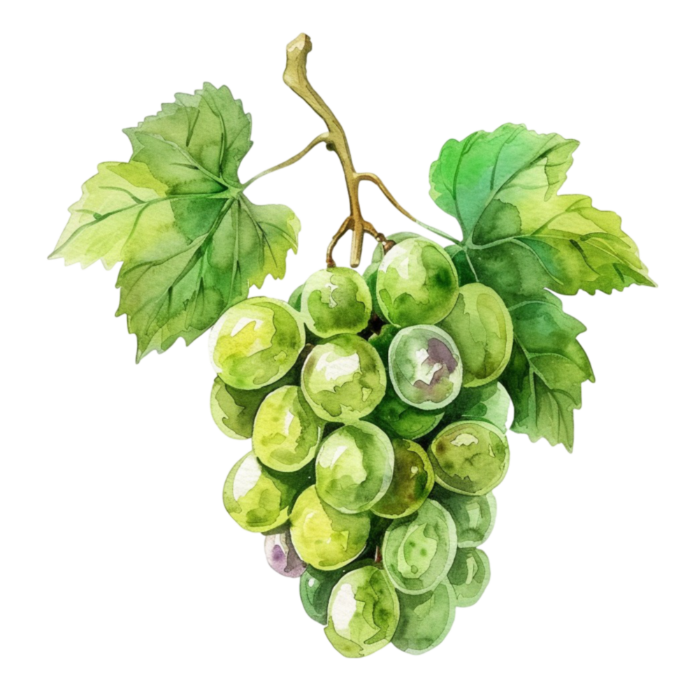 Health Benefits of Grapes Nutrients and More png