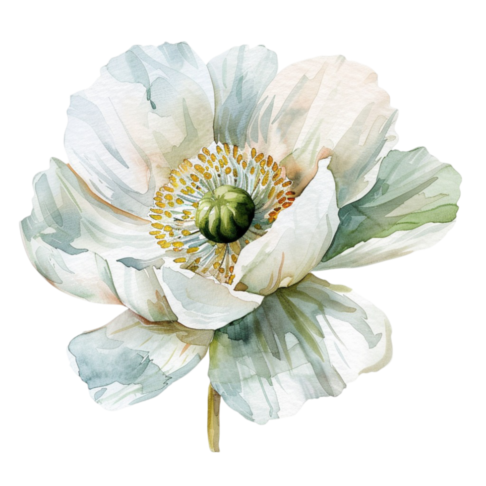 Floral Delights Celebrating the Diversity of Flowers png