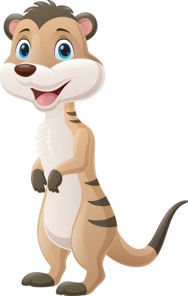 Cute meerkat cartoon on white background vector