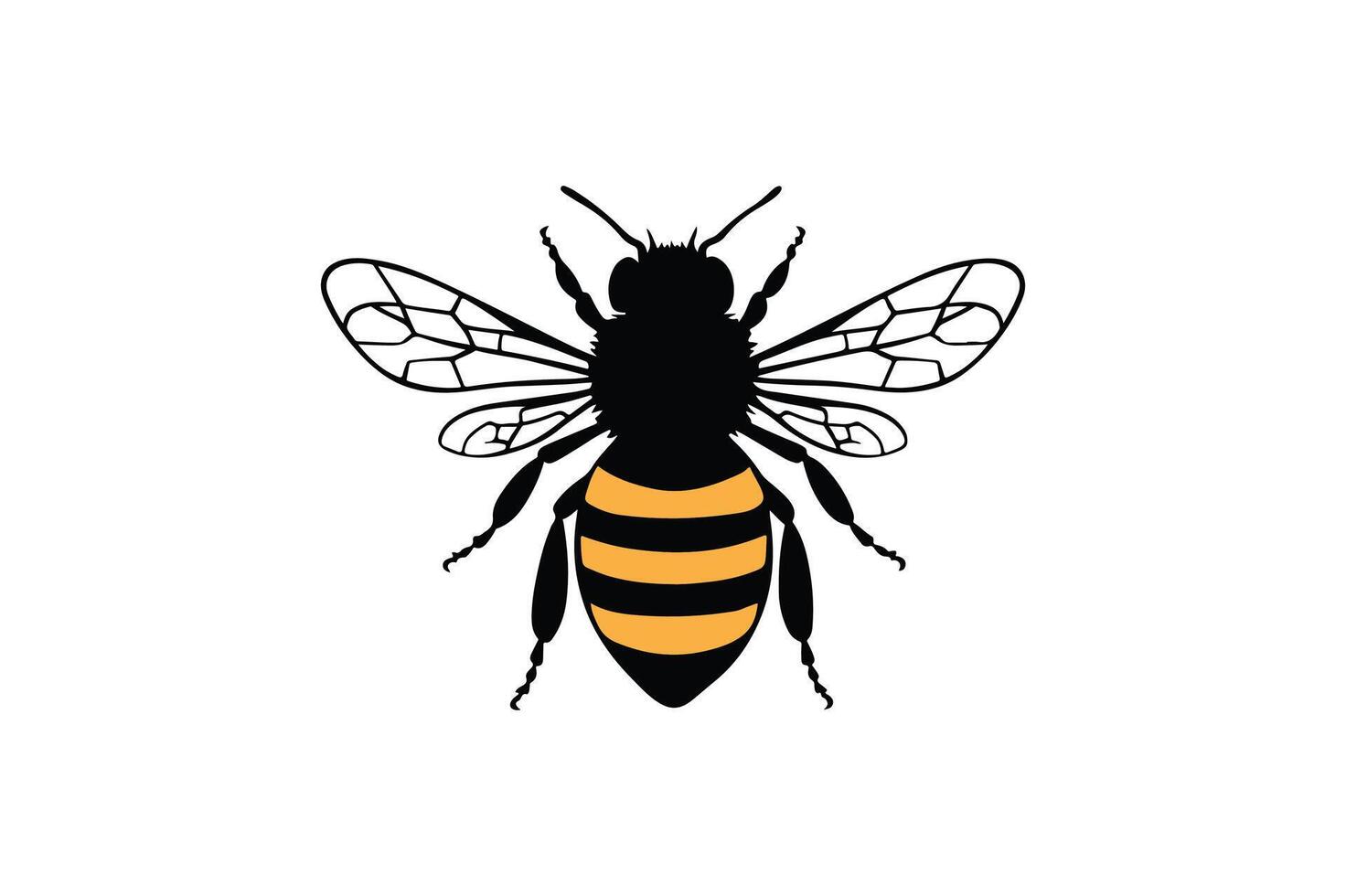 Bee Color style with white background vector