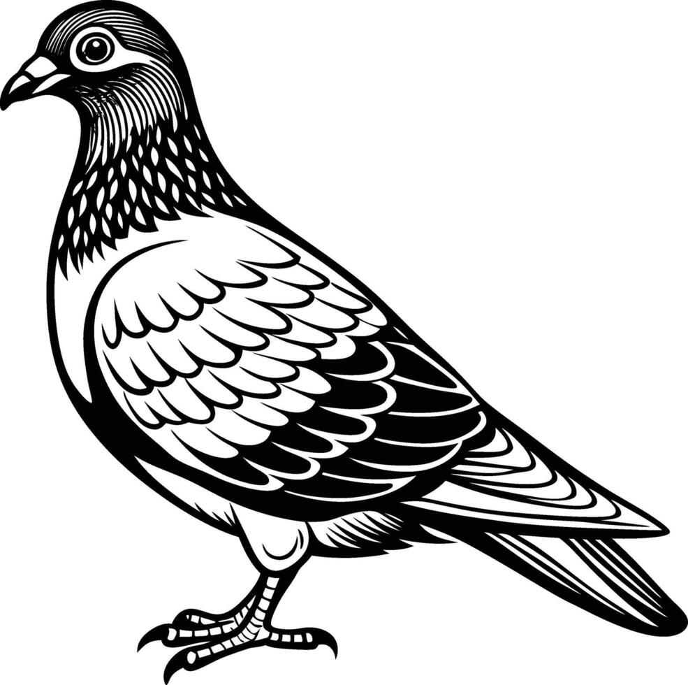 Art Illustration for Island and Bird Poster vector
