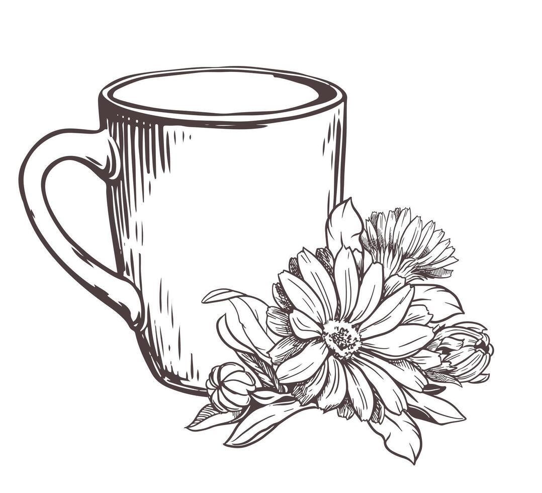 White ceramic cup with herbal tea with calendula flowers on a white background. illustration in engraving technique. Line drawing. Healthy drink. vector