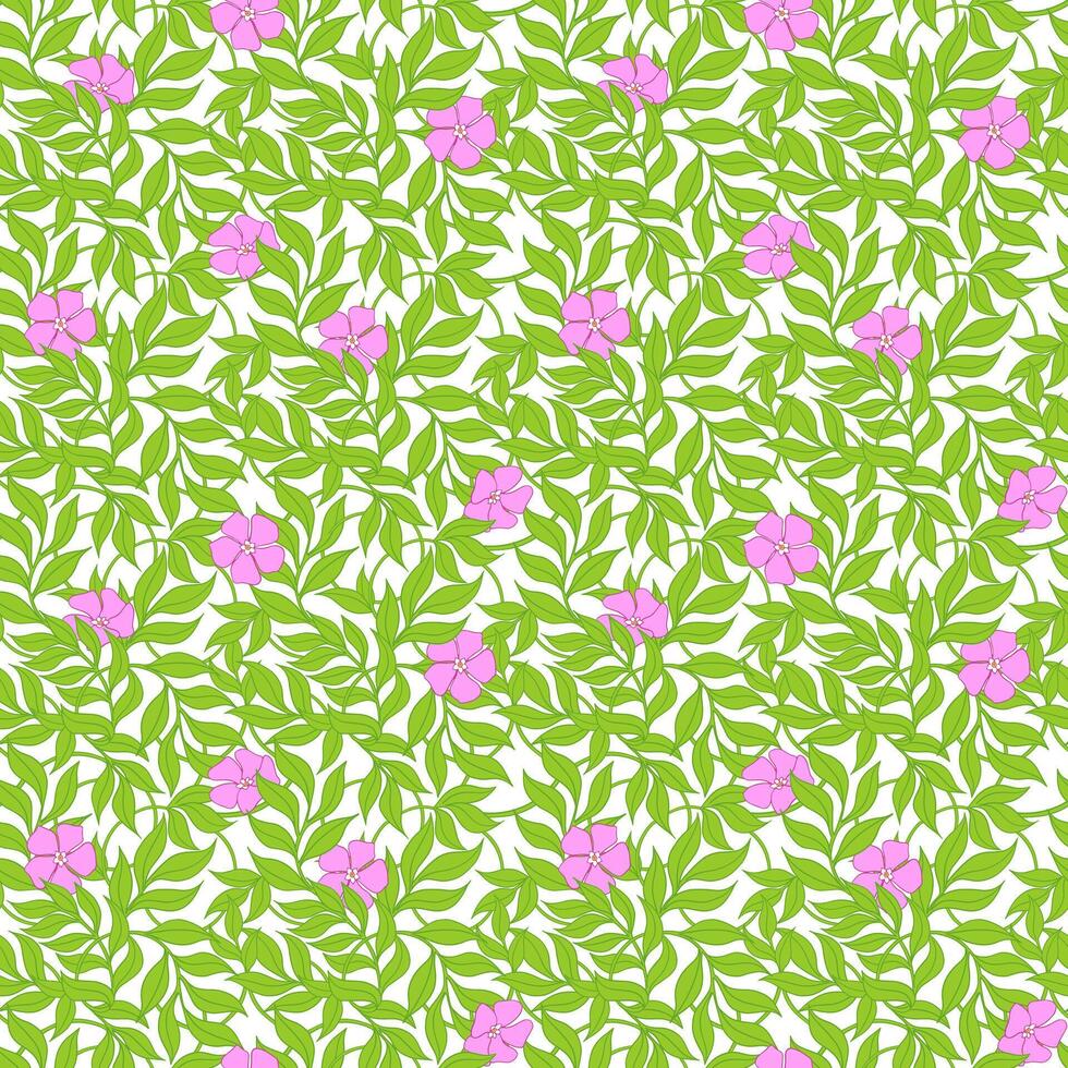 Elegance floral summer or spring pattern template vector