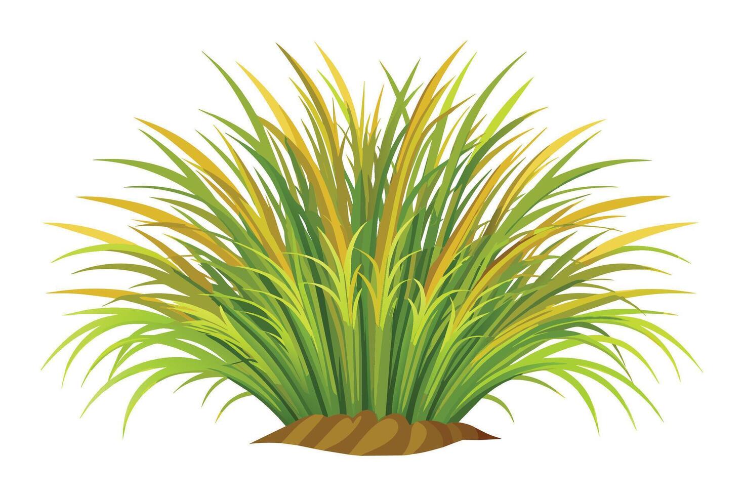 Hairgrass flat illustration on white background vector