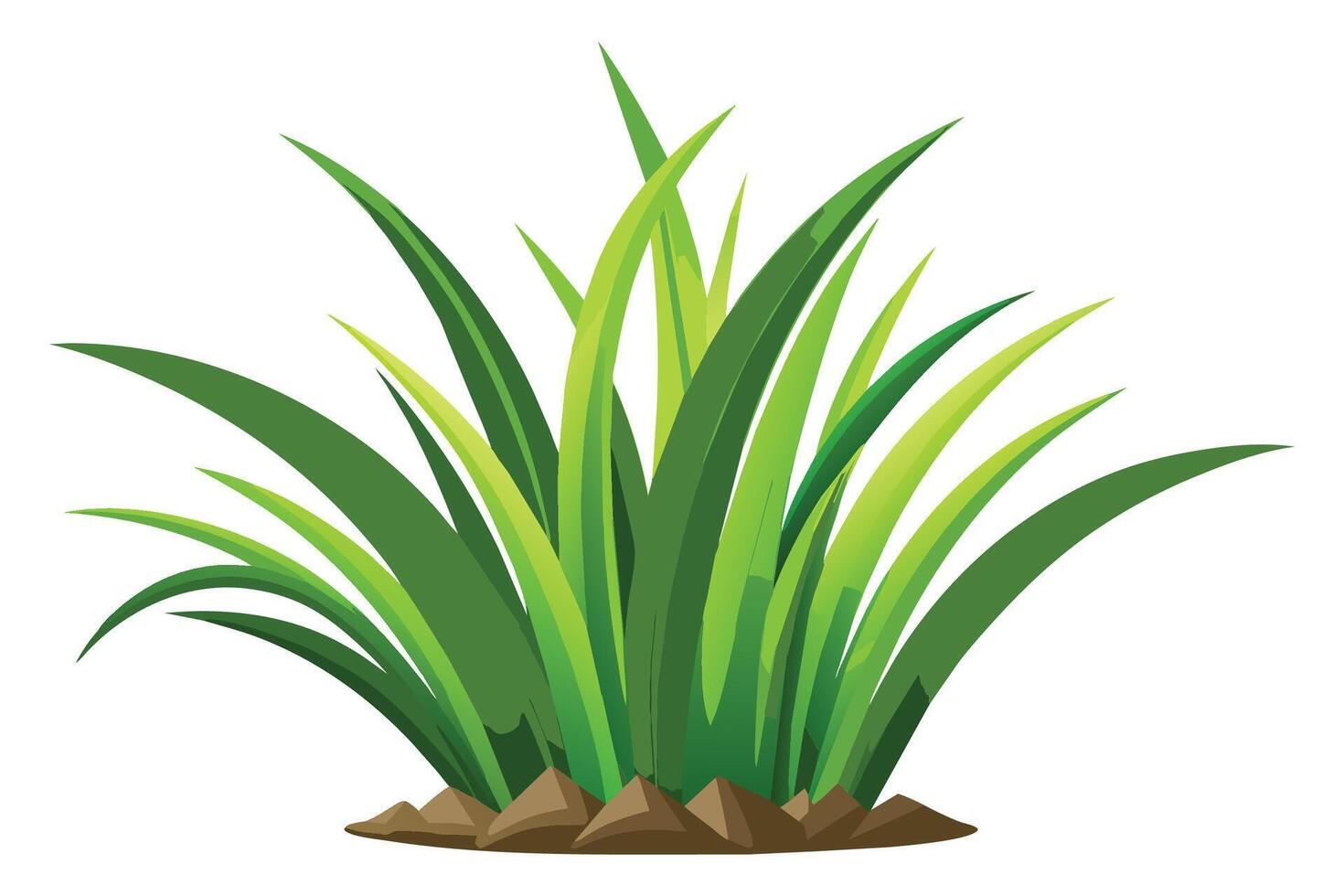 Bermuda grass flat illustration on white background. vector