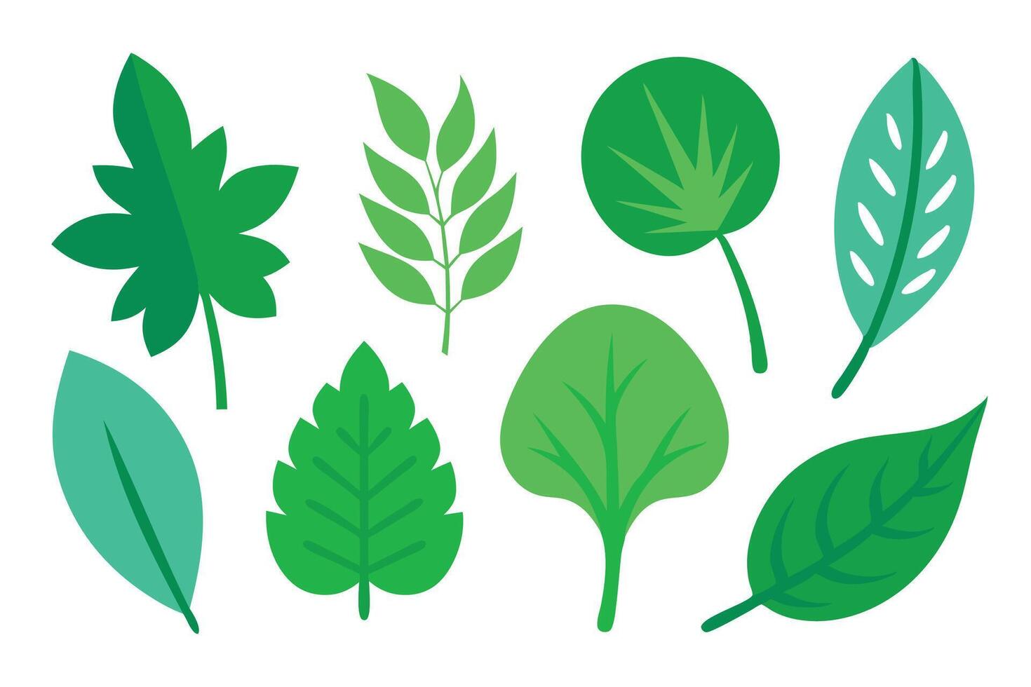 Beautiful green leaf flat set illustration vector