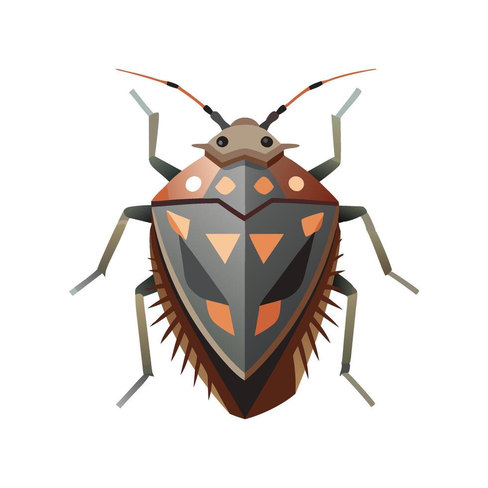Brown marmorated stink bug insect flat illustration on white background vector